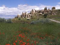 Blick über Mohnfeld zu Felsgruppen